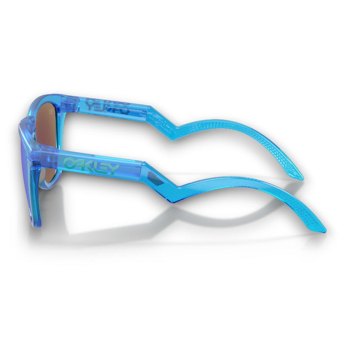 Oakley Frogskins Hybrid Lifestyle Sunglasses