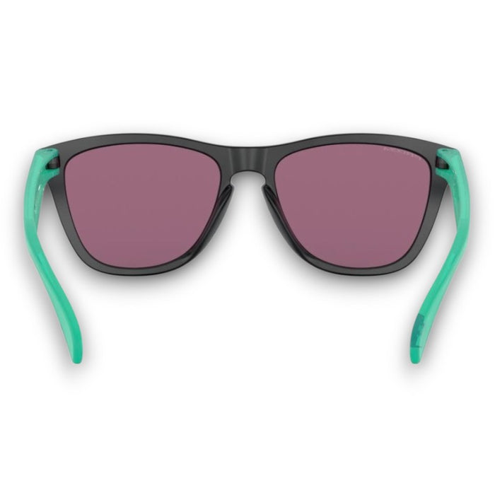 Oakley Frogskins Lifestyle Sunglasses