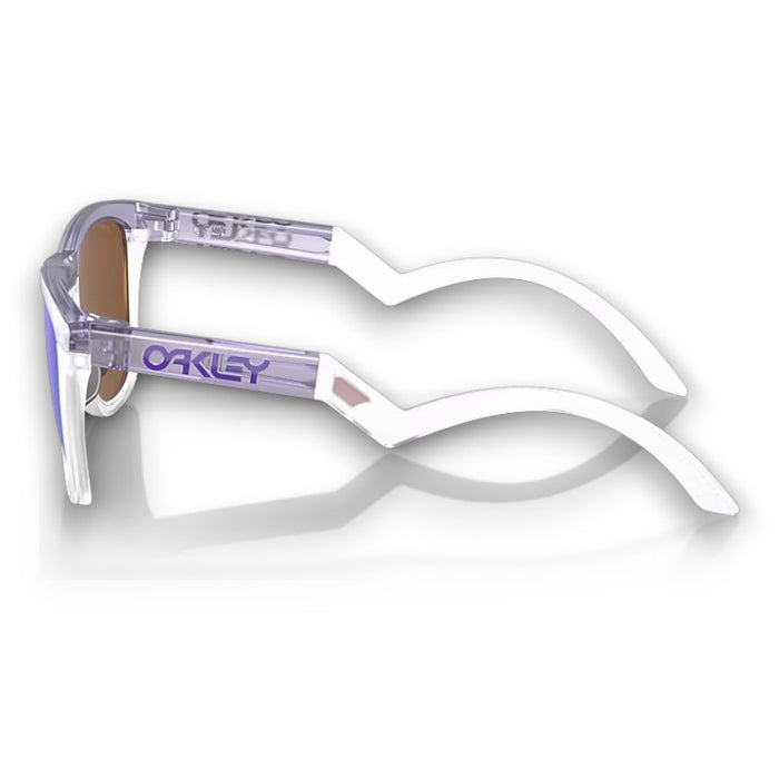 Oakley Frogskins Hybrid Lifestyle Sunglasses