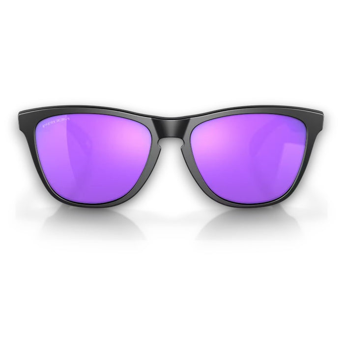 Oakley Frogskins Lifestyle Sunglasses