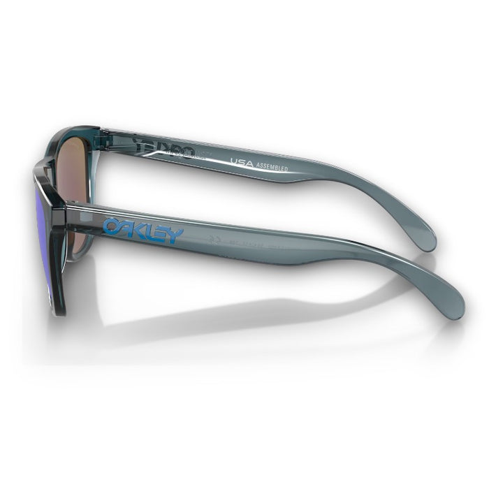 Oakley Frogskins Lifestyle Sunglasses