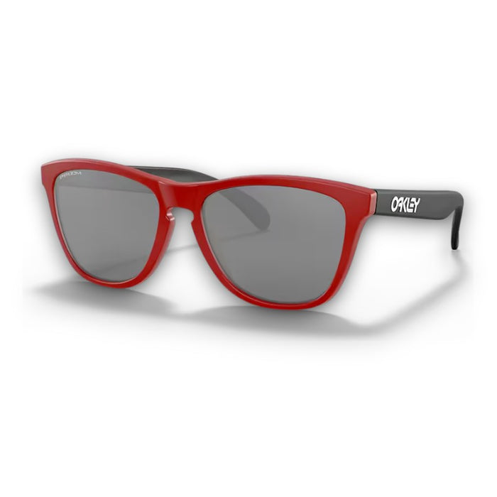 Oakley Frogskins Lifestyle Sunglasses