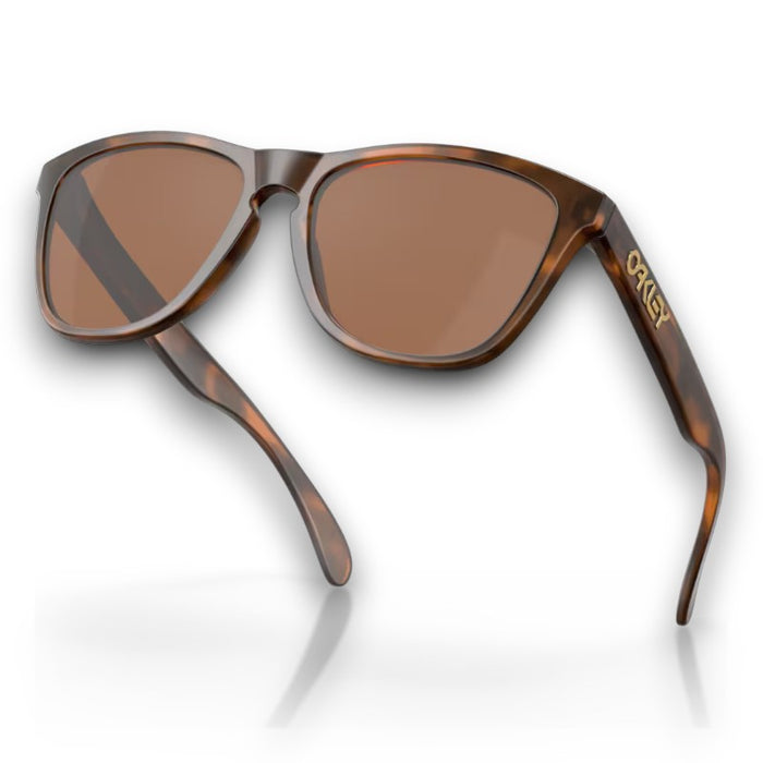 Oakley Frogskins Lifestyle Sunglasses