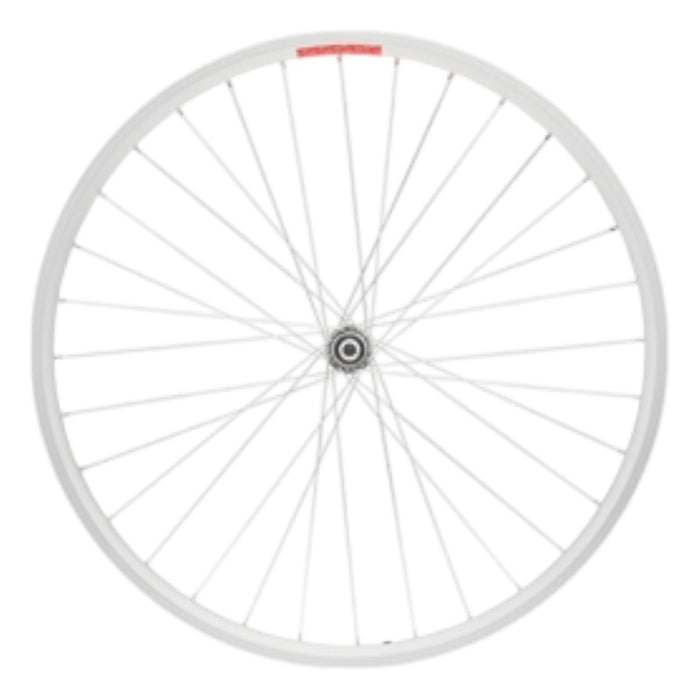 Sta-Tru Double Wall Front Wheel - 24 Bolt-On 3/8 x 100mm Silver