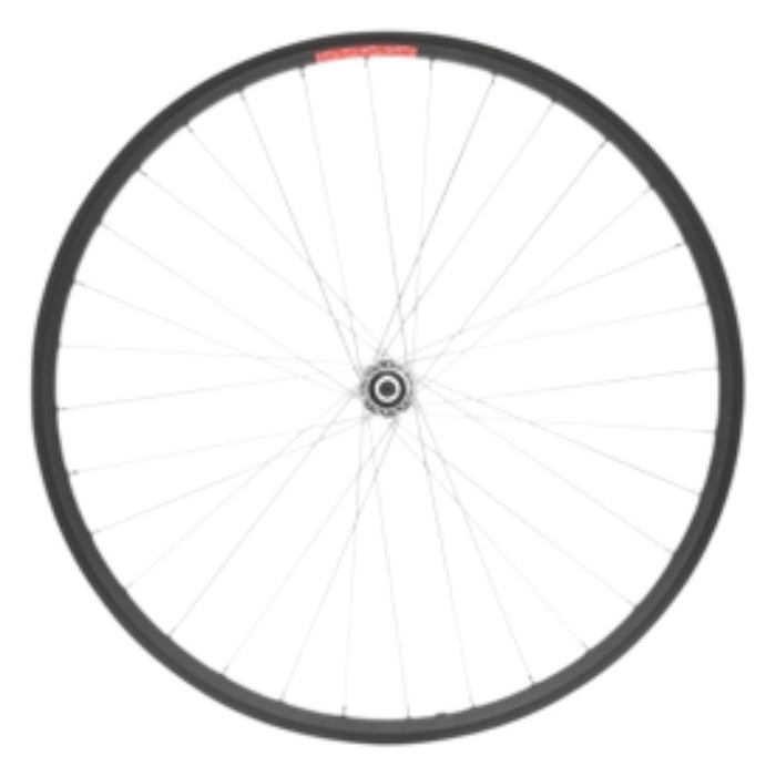 Sta-Tru Double Wall Front Wheel - 24 Bolt-On 3/8 x 100mm Black