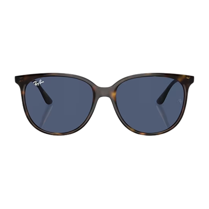 Rayban 0RB4378 Lifestyle Sunglasses