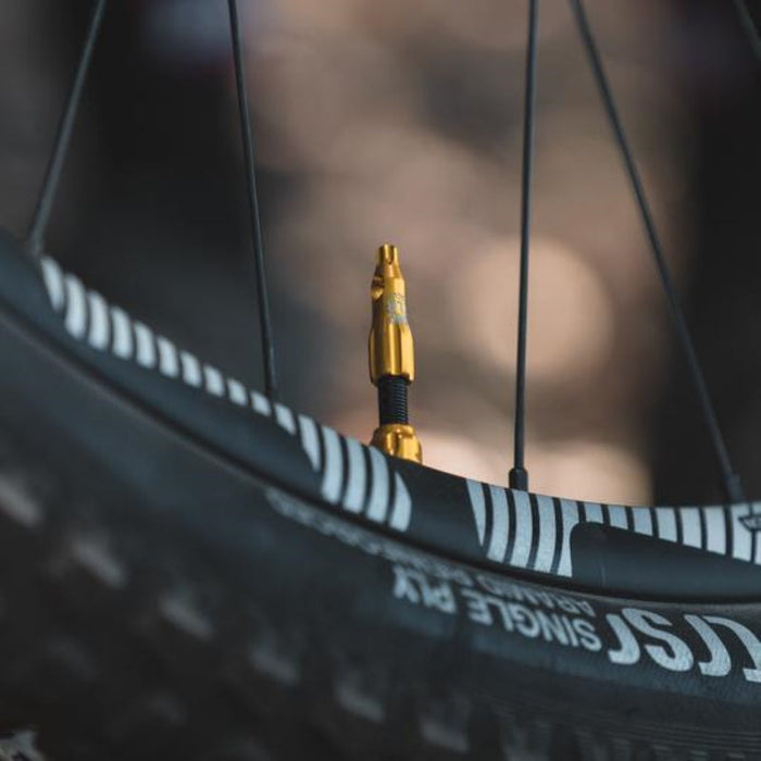 Lezyne Tlr Tubeless Valve Presta 80Mm Black